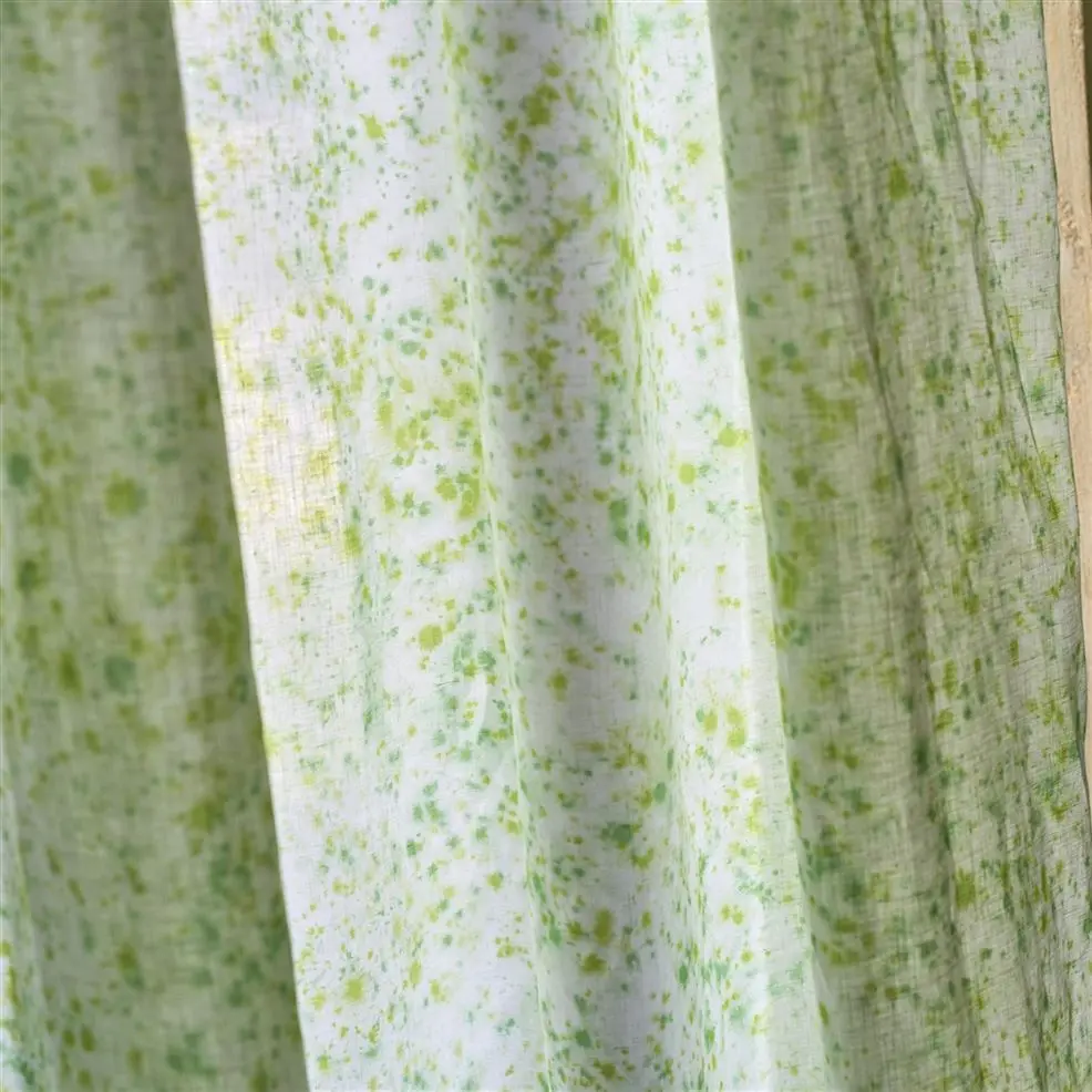 Portfolio Image