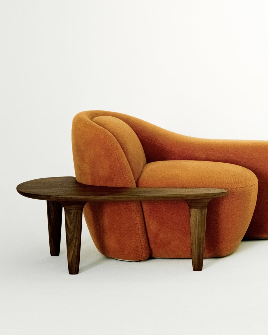 Portfolio Image